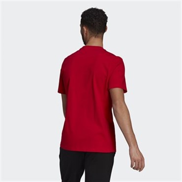 Adidas M Bl Sj T Erkek Üst & T-shirt - GK9124